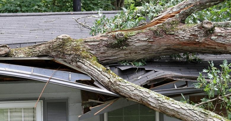 Wind Damage – What Can Wind Do To A Roof?